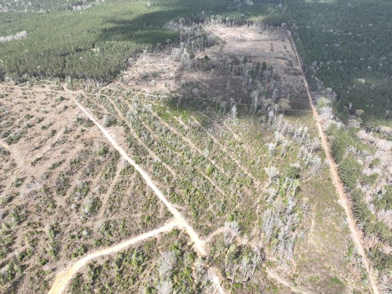 dji_fly_20260303_140106_296_1772637939195_photo