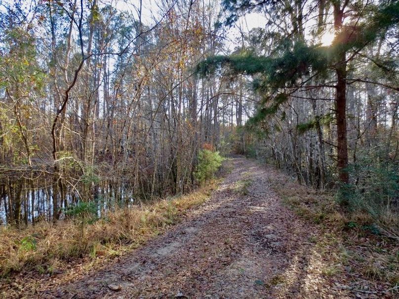 269212D2-EA45-4057-86AC-E34231E1DE61_1_105_c