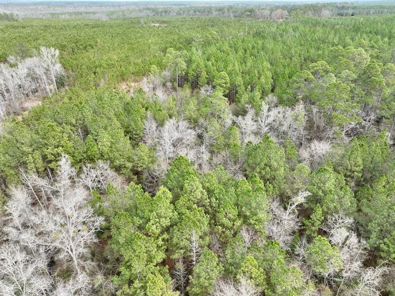 dji_fly_20260211_133308_315_1770835093500_photo