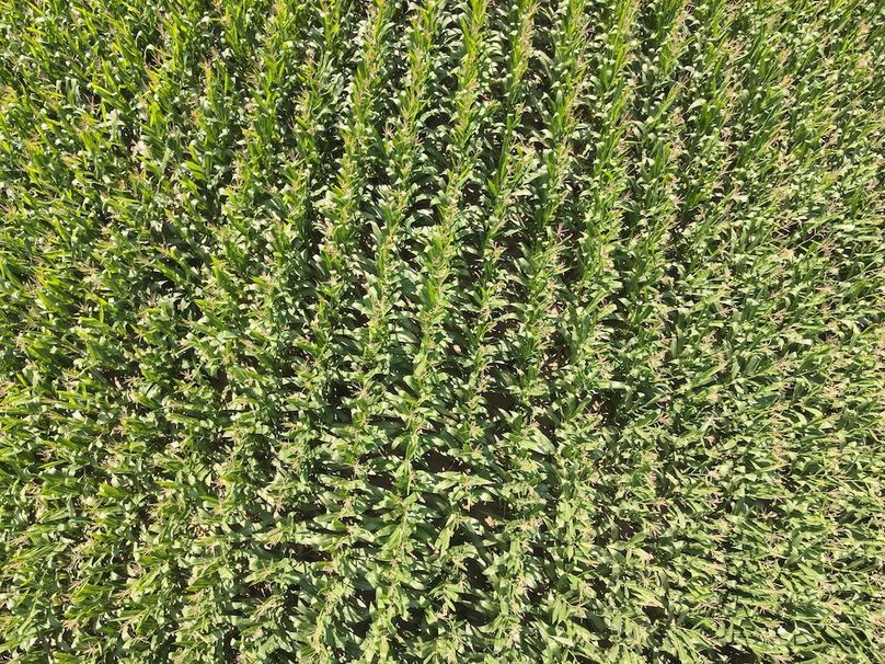 DJI_20240823235626_0018_V