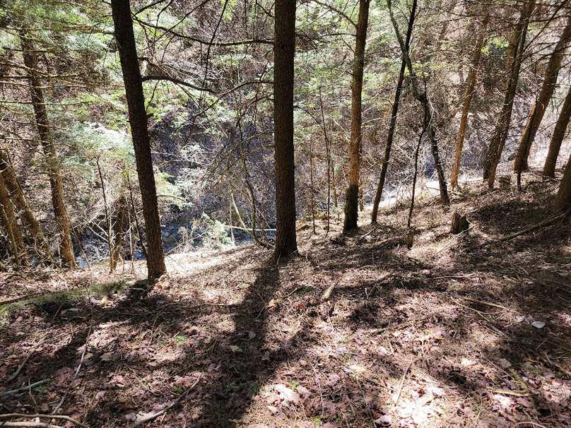 photo_839000000