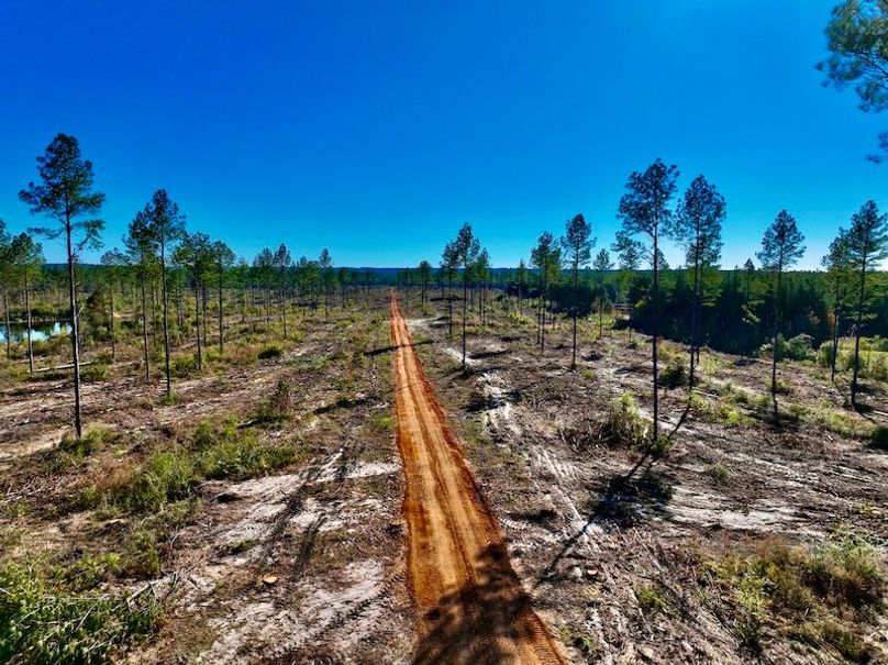 093B3FBB-F9F1-48D2-9D7C-23628EB876D7_1_201_a