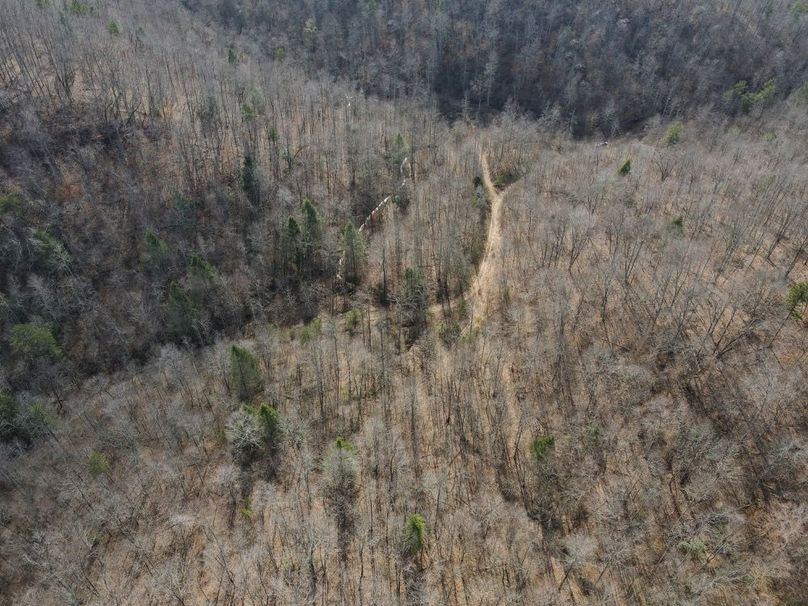 018 aerial view looking back towards the creek, spring, and flats-2