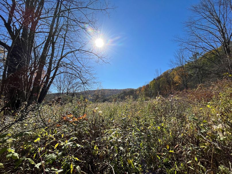 Schuyler_25.155_Ennis_Photos_30