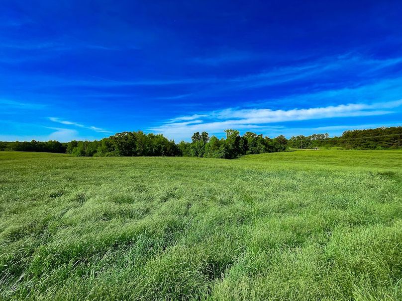 Haralson GA 100 McIntyre-16