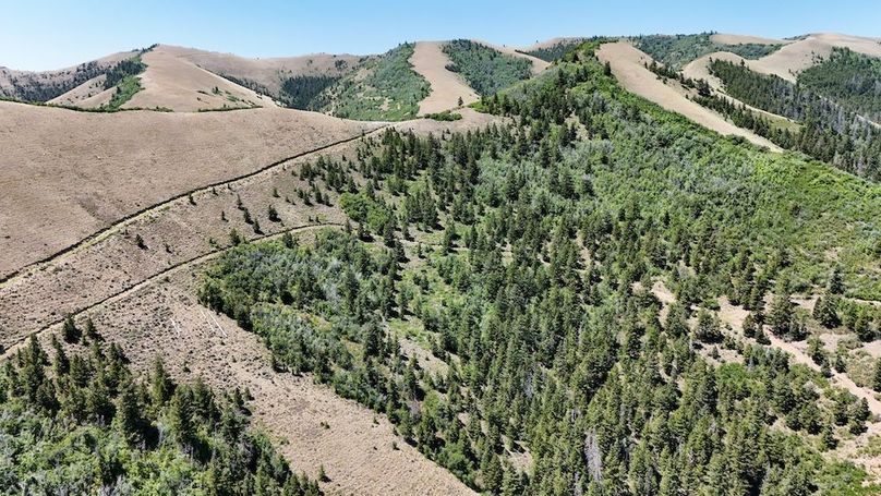 Ghost Town Get-A-Way41