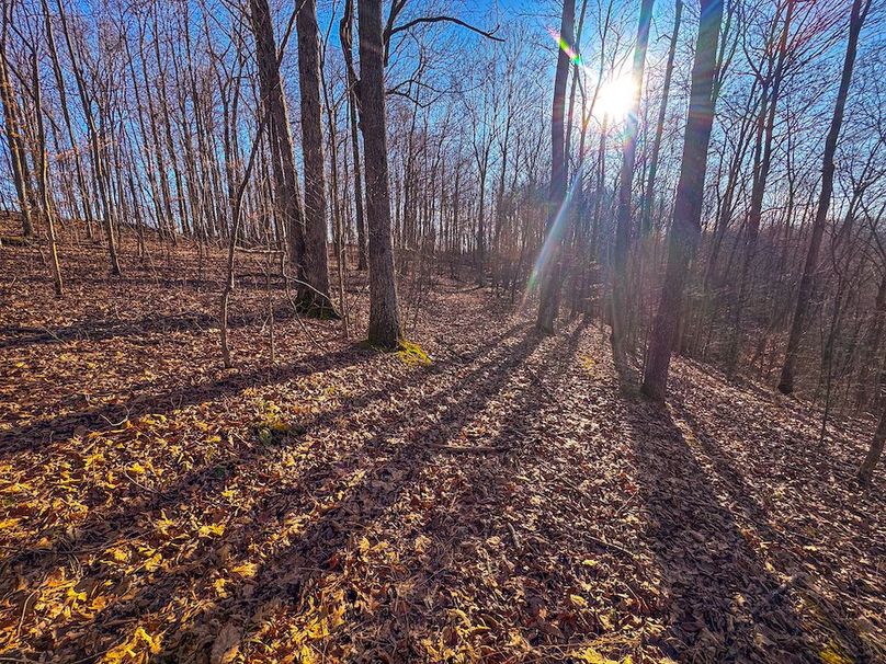 Lewis, WV 82.87 AC Barger-41