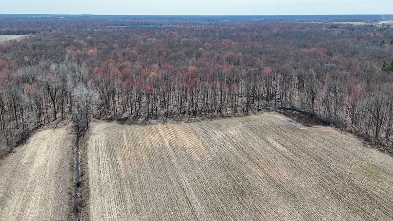 DJI_20250417142907_0106_D