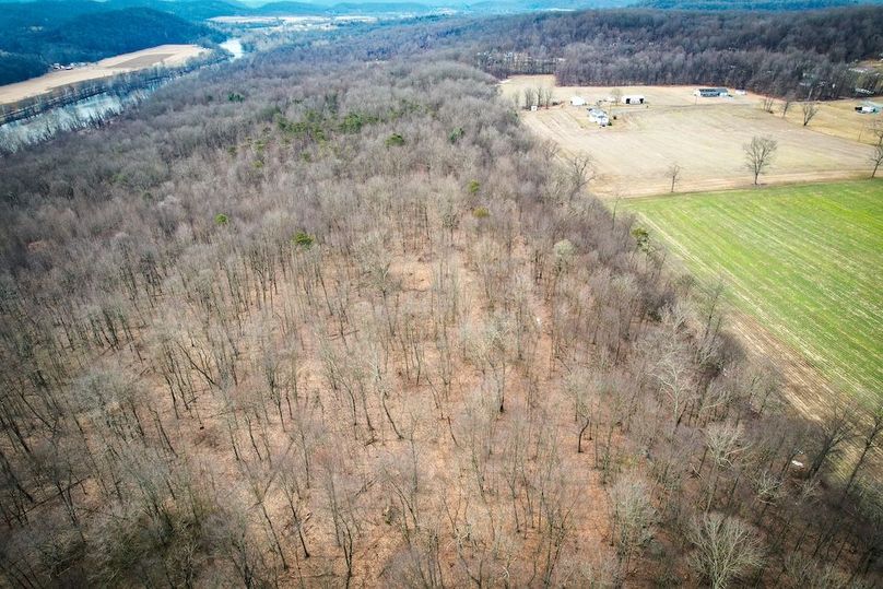 dji_fly_20260302_104108_532_1772466989985_photo