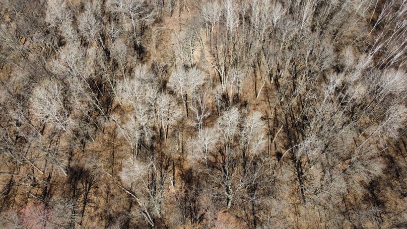 dji_fly_20230413_105510_340_1681401659063_photo_optimized