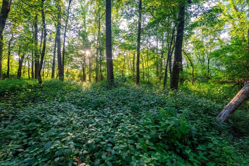 Copy of DSC06247 Large