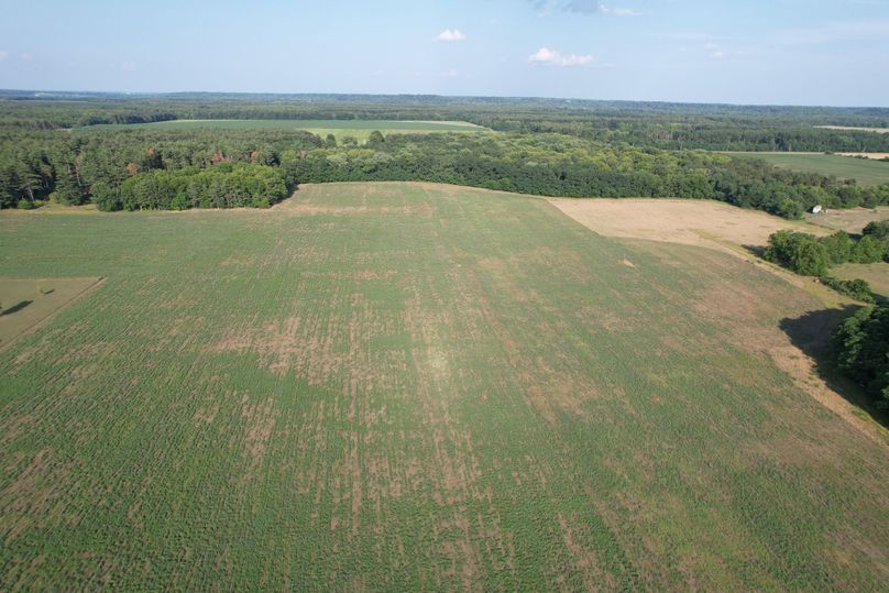 DJI_0481