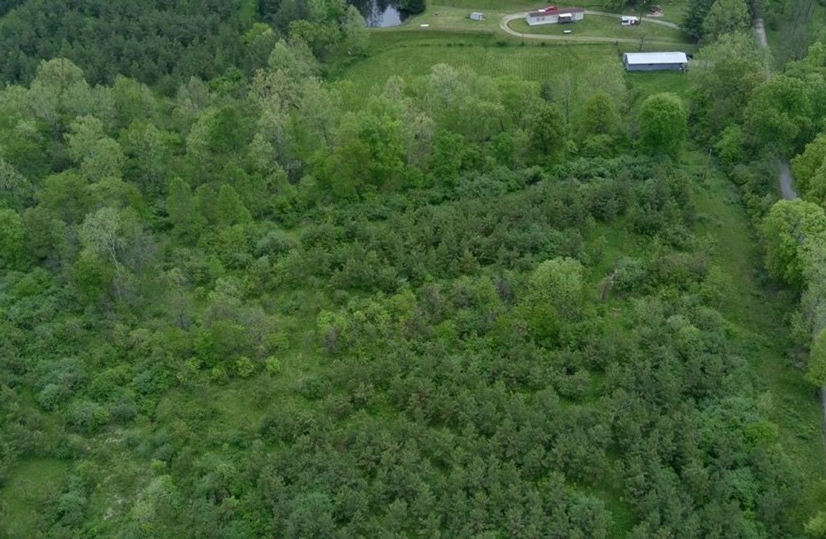 5526019_100DRONE_SING0011