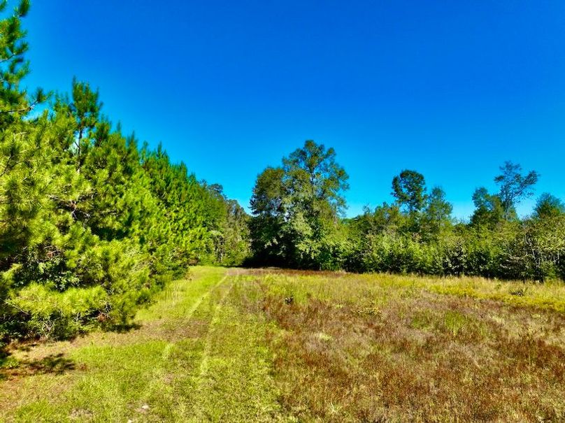 4A996DE6-C939-415E-907D-F3DF7C453B76_1_201_a