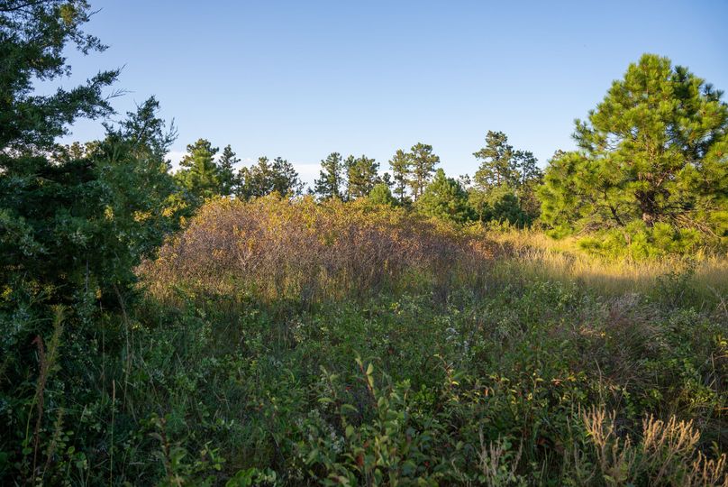 Keya Paha NE 2700_Pro Photo-103