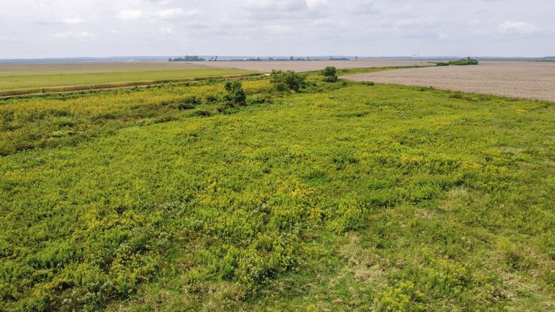 ATCHISON CO MO 31.47_28