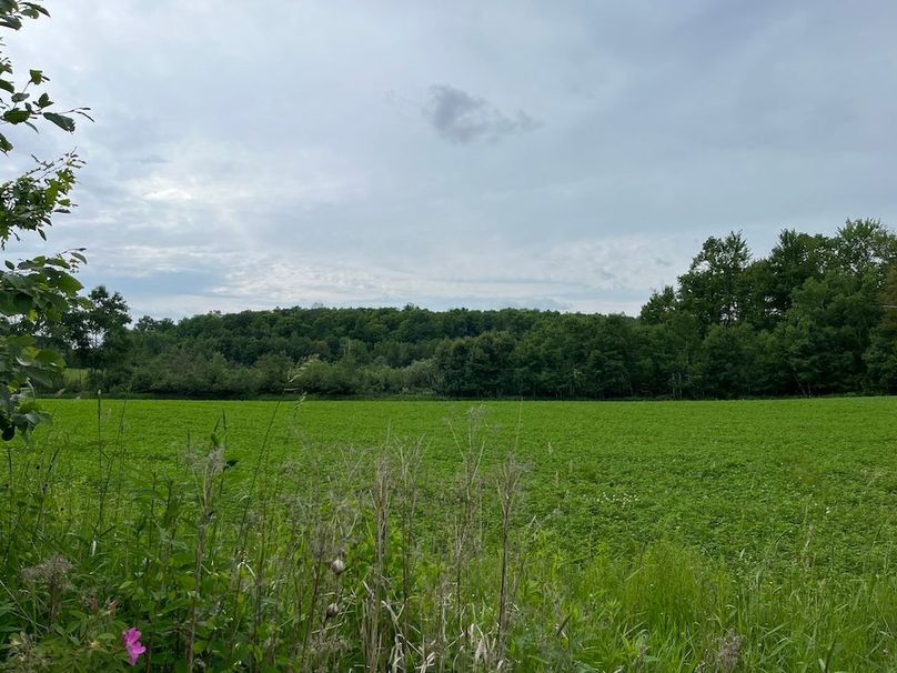 IMG_5546