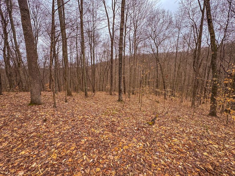 Tyler, WV 90 AC Burkhart-47