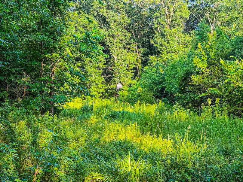 Copy of Noxubee 70 +- Tract 3-27