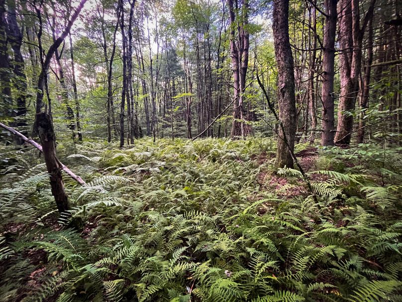 Oswego_30_RouselandInvestments_LLC_Photos_26