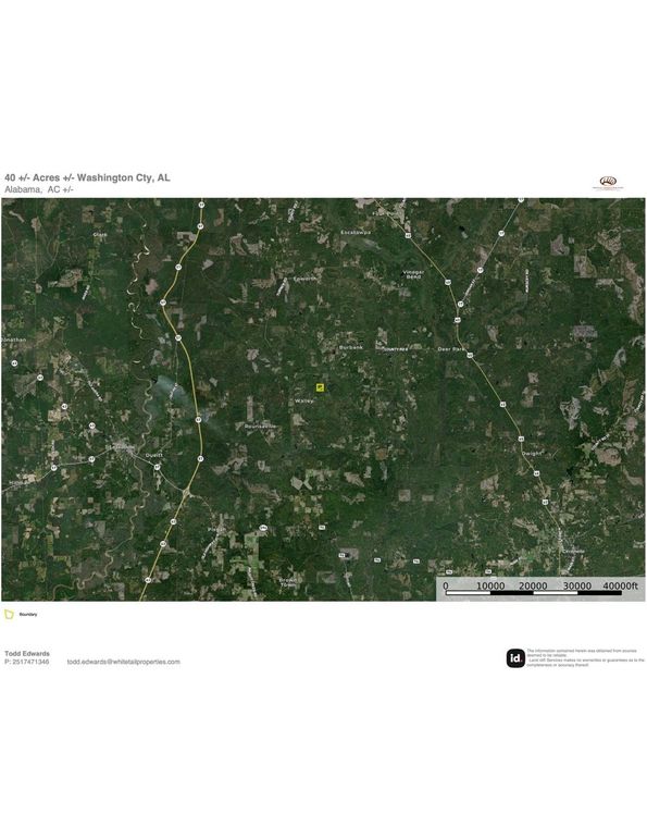 Aerial #3 Approx. 40 Acres Washington County, AL