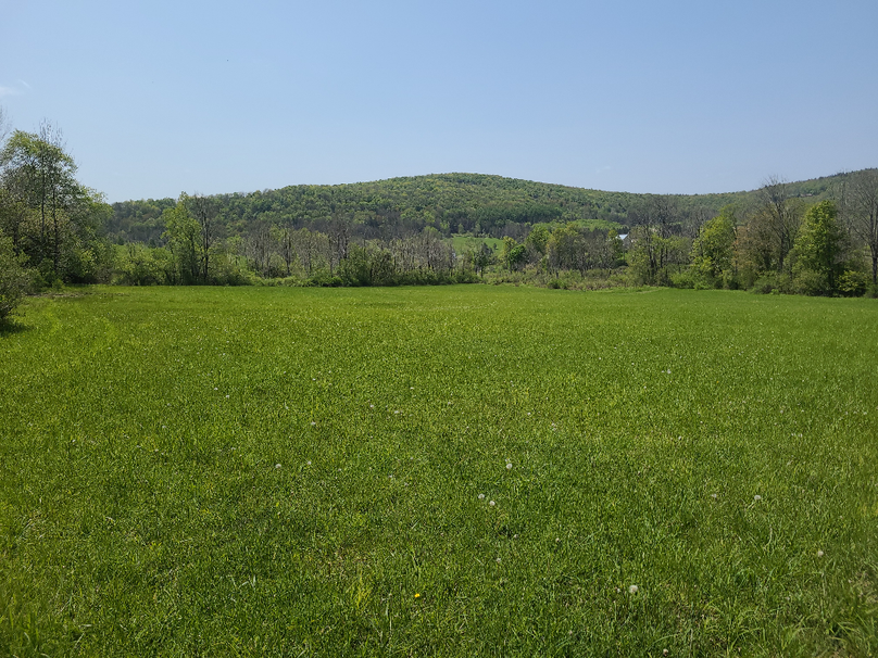 photo_153840cd-3f2c-4159-ae31-4922e636122a