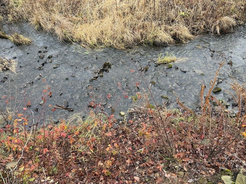 Tompkins_15.15_Galarza Photo 23