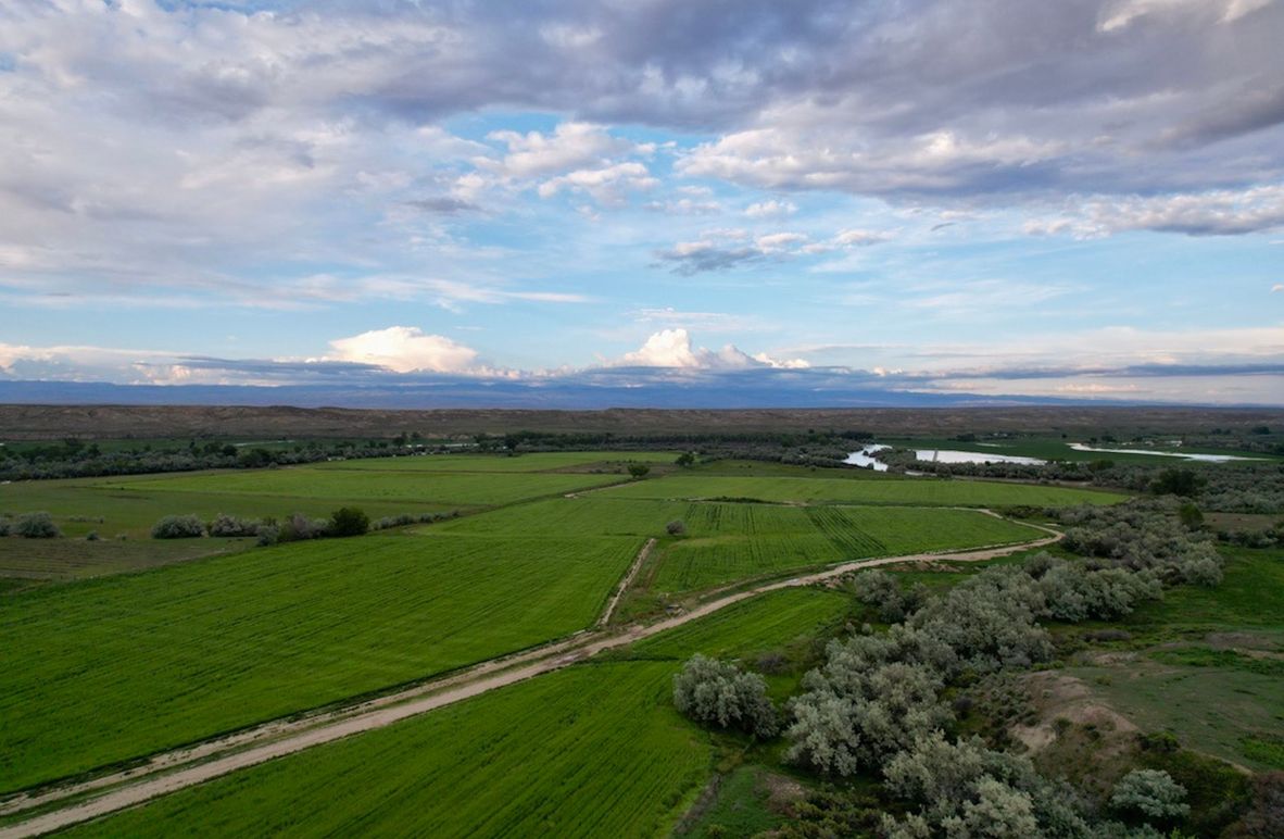 6A2C208F-929A-4608-8B69-5CB5C5415642_1_105_c