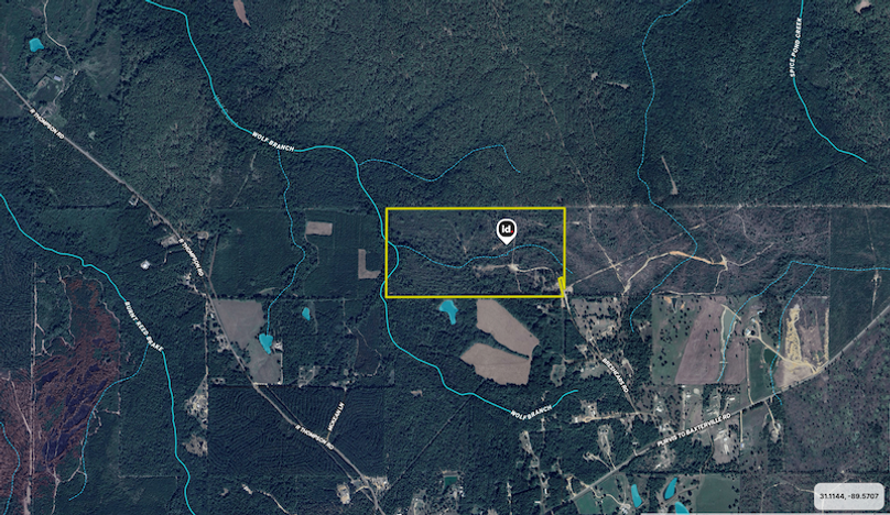 Screenshot 2025-09-13 at 10.53.44 PM