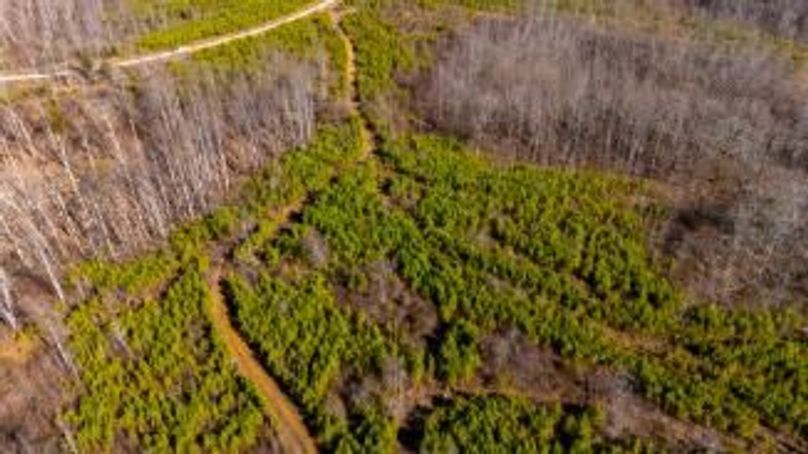 MCKINNON TRACT 15-24