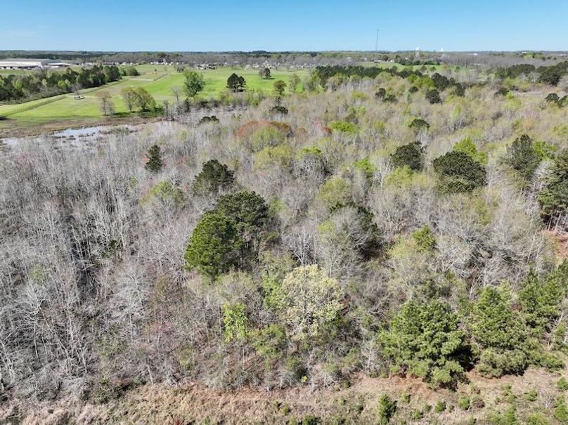 dji_fly_20260317_120056_430_1773763409184_photo