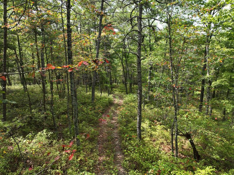 09_13.39_Alleghany_VA