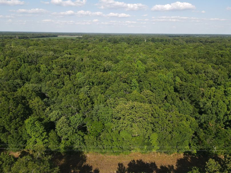 D2661A0B-13C4-486E-974B-321EAF448E5F_1_102_o