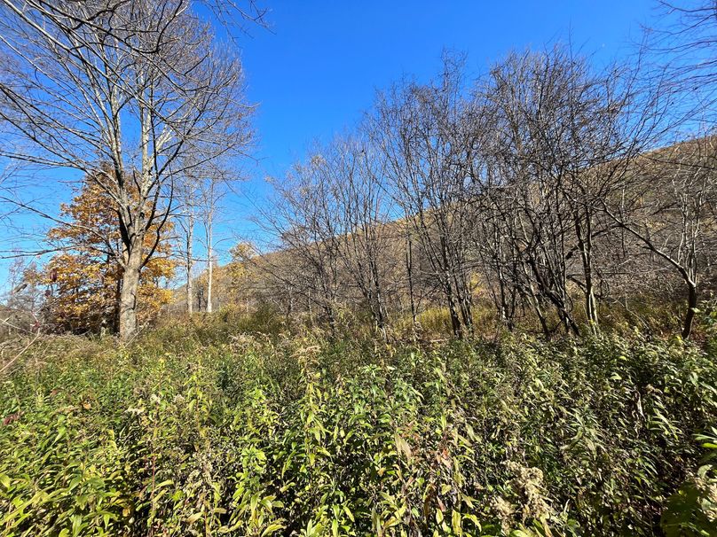 Schuyler_25.155_Ennis_Photos_27