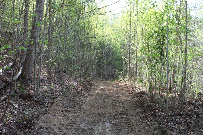 018 regraded road in the upper northeast corner of the property