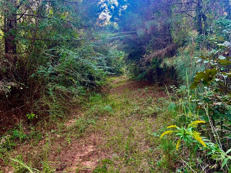 559BBFEB-1A0E-49F0-9D92-62DDB0406558_1_201_a