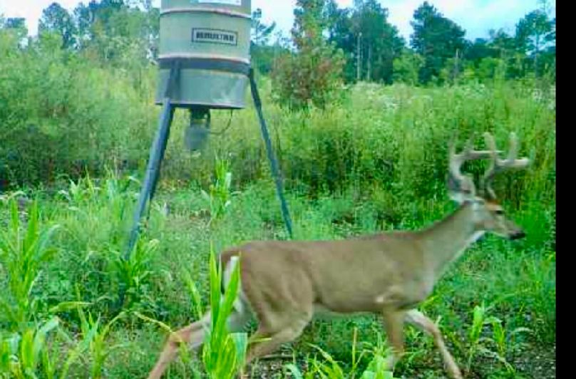 Screenshot_20221201-202352