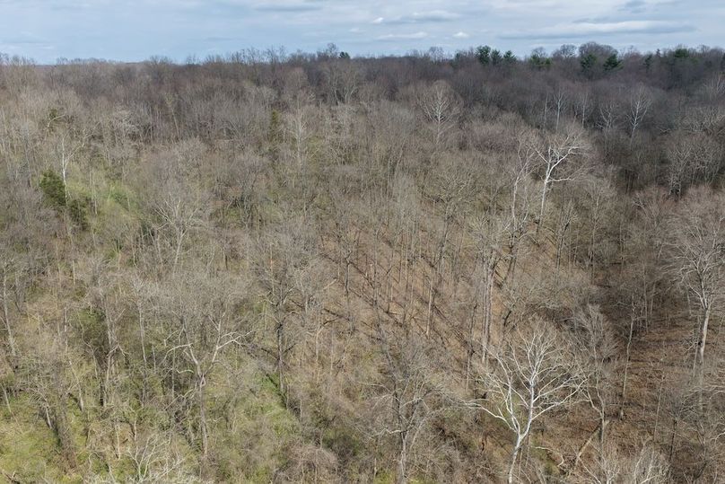 DJI_20260330150929_0008_D