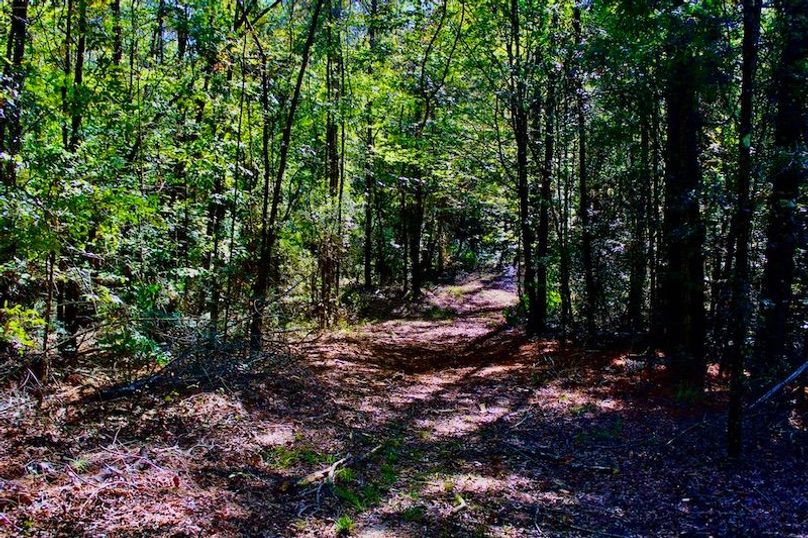 AAFE58D9-F25D-4338-ABFC-FE67C4B2623D_1_105_c