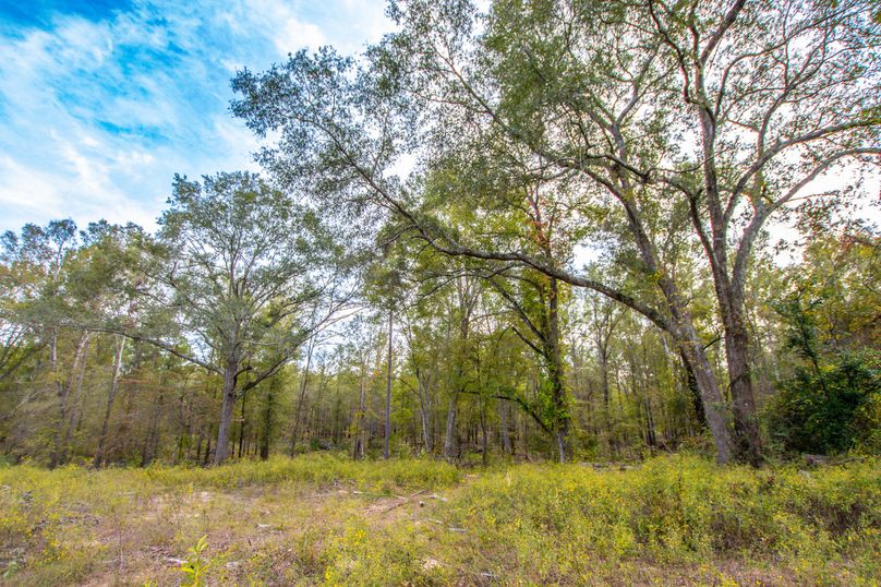 18 Upshur Co 603 ac Weise