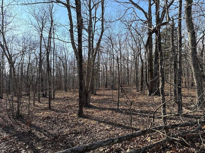 DJI_20260113_150219_869