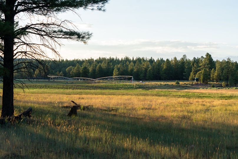 Cibola NM 13,053-7276