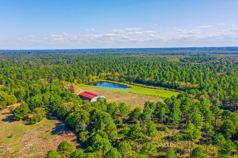 29 Upshur Co 603 ac Weise