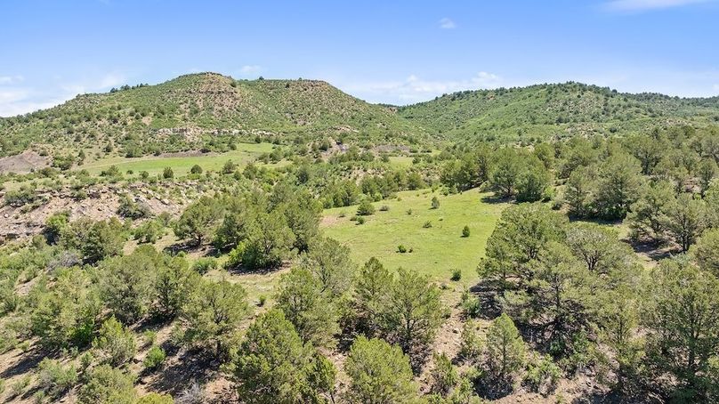 DJI_20250611122820_0155_D