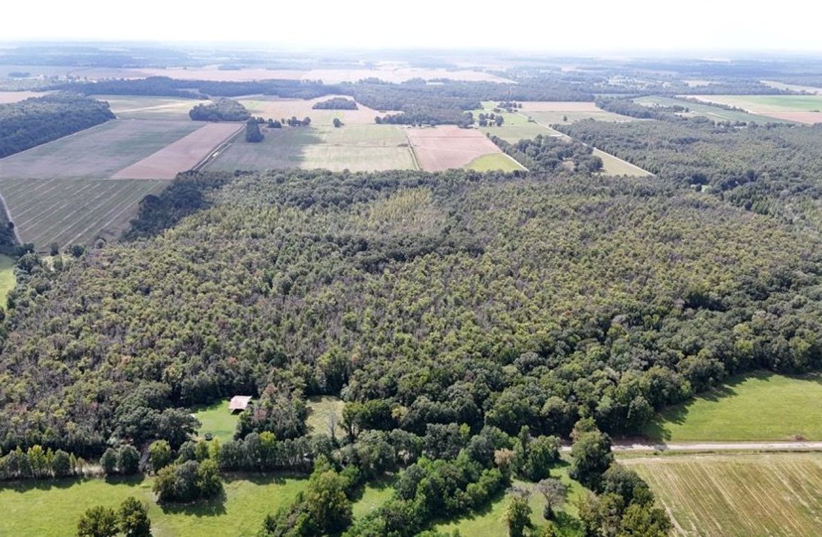 DJI_20250923004539_0735_D