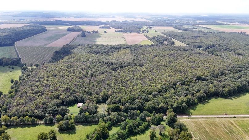 DJI_20250923004539_0735_D