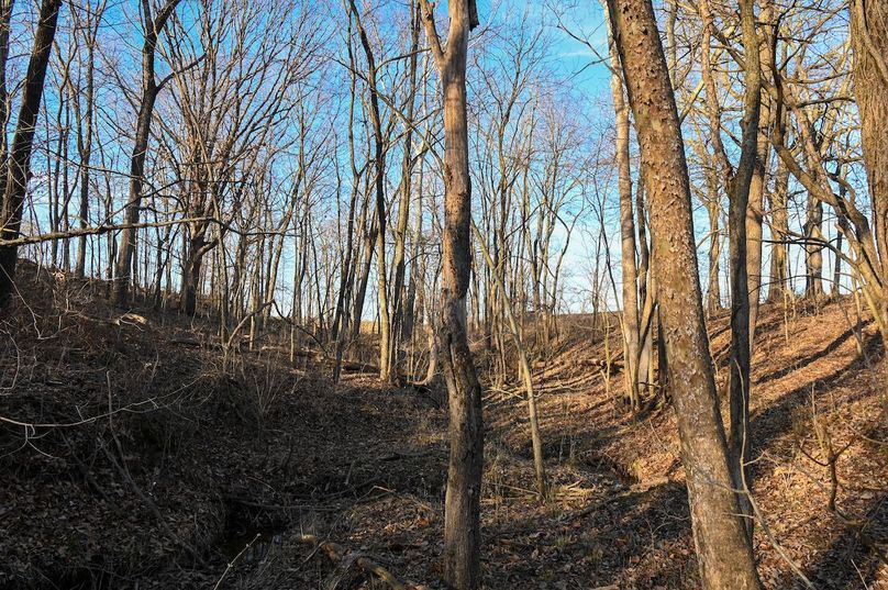 vandalia 450 (2)-2206