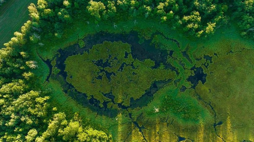 Cass MN 1095 Featured ProPhoto-72