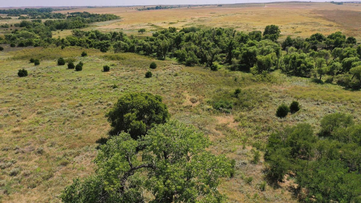 Great Hunting And Grazing Tract In Western Oklahoma Whitetail Properties