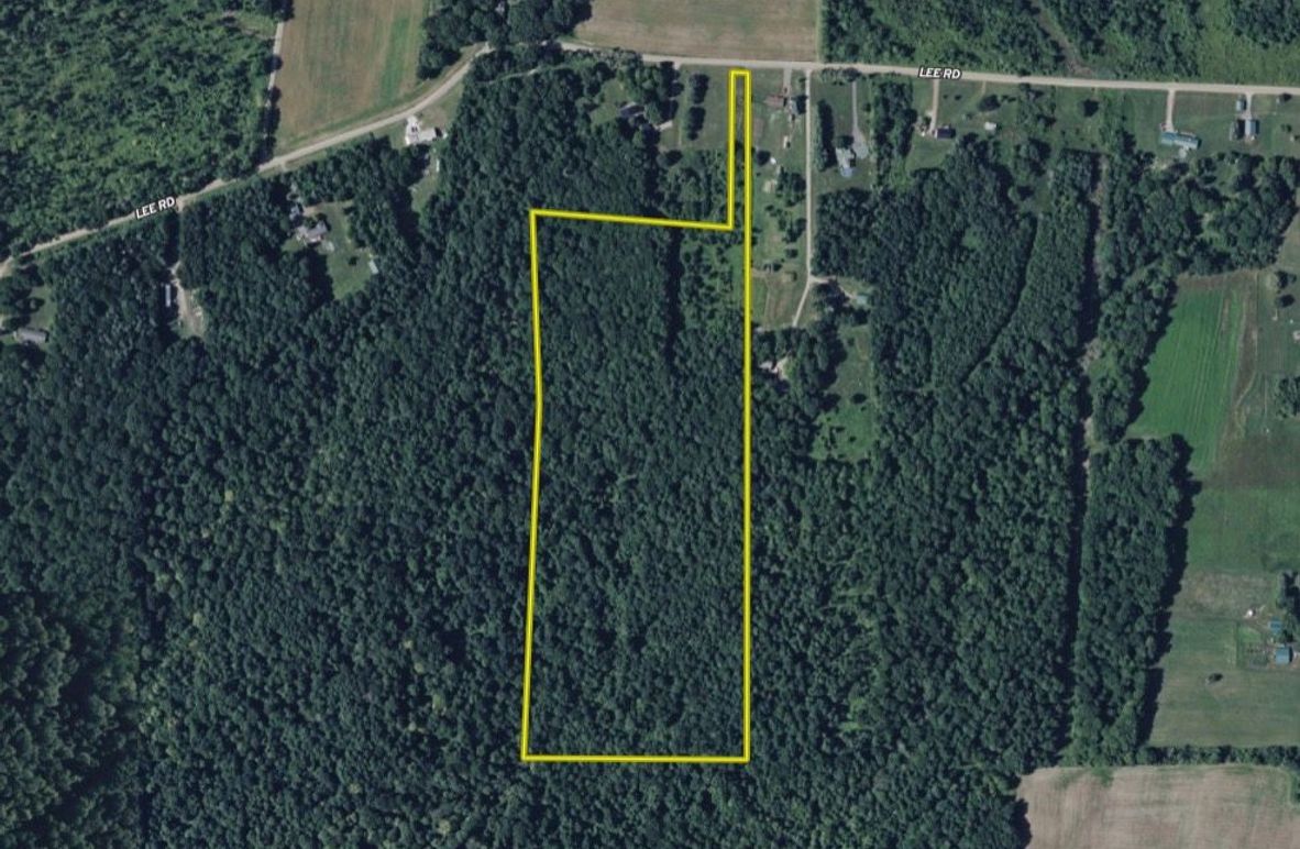 Screen Shot 2026-02-04 at 2.18.40 PM